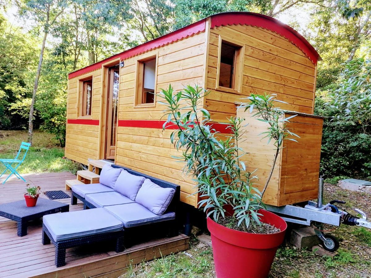 Bed and Breakfast Nimes En Garrigues Екстер'єр фото